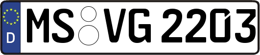 MS-VG2203