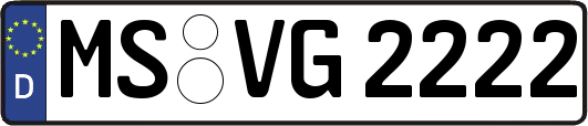 MS-VG2222