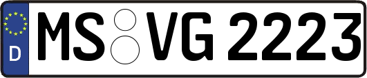 MS-VG2223