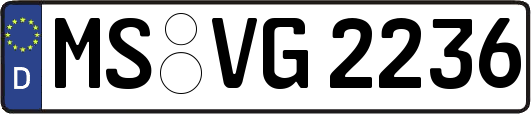 MS-VG2236