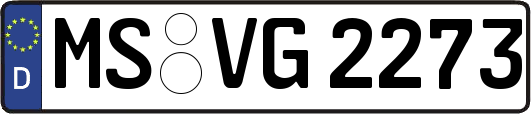 MS-VG2273