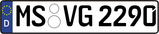 MS-VG2290