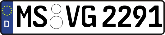 MS-VG2291