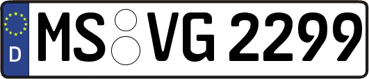 MS-VG2299