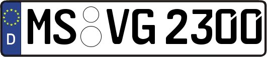 MS-VG2300