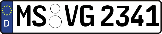 MS-VG2341