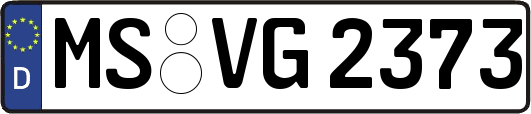 MS-VG2373