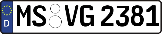 MS-VG2381