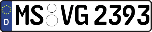 MS-VG2393