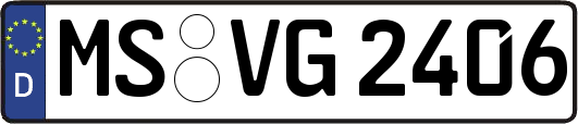 MS-VG2406