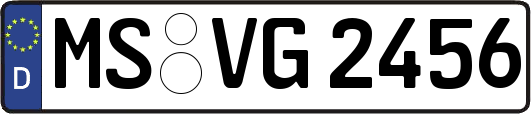 MS-VG2456