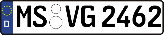 MS-VG2462