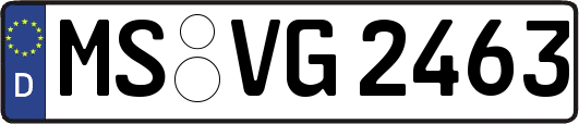 MS-VG2463