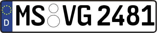 MS-VG2481