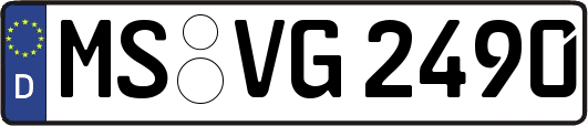 MS-VG2490