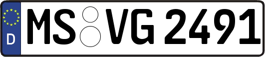 MS-VG2491