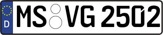 MS-VG2502