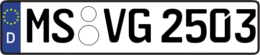 MS-VG2503
