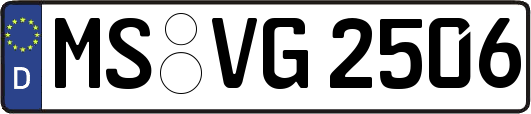 MS-VG2506