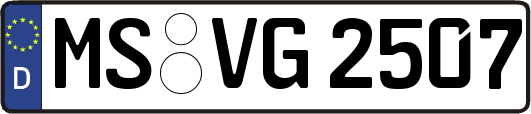 MS-VG2507