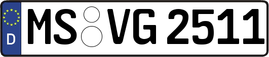 MS-VG2511