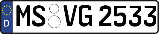 MS-VG2533