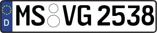 MS-VG2538