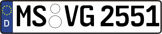 MS-VG2551