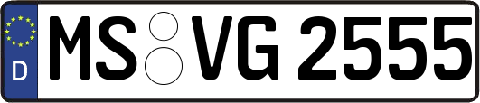 MS-VG2555