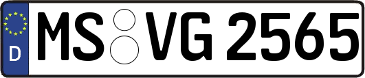 MS-VG2565