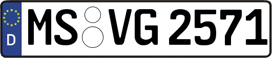 MS-VG2571