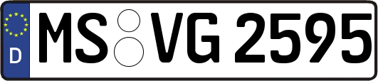MS-VG2595