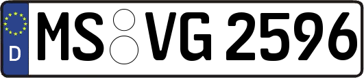 MS-VG2596