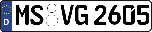 MS-VG2605