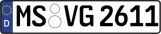 MS-VG2611