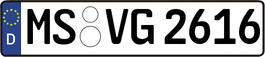 MS-VG2616