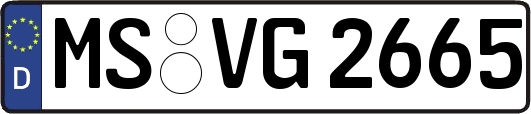 MS-VG2665