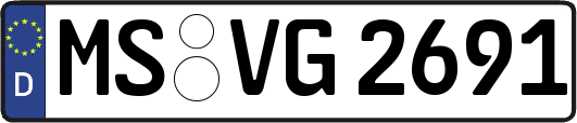 MS-VG2691