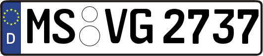 MS-VG2737