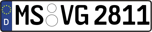 MS-VG2811