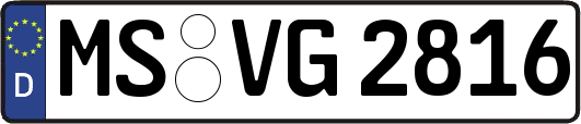 MS-VG2816