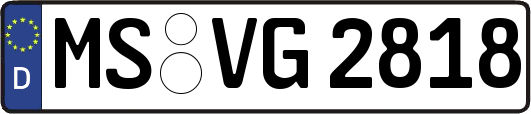 MS-VG2818