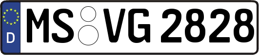 MS-VG2828