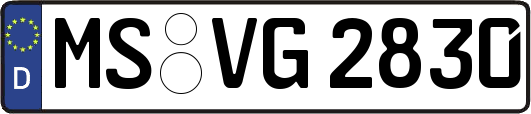 MS-VG2830