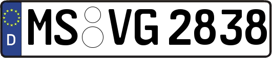 MS-VG2838