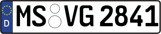 MS-VG2841