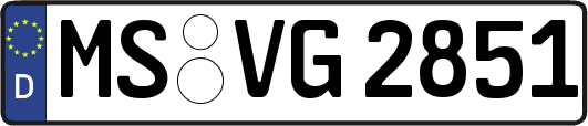 MS-VG2851