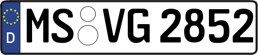 MS-VG2852