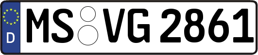MS-VG2861
