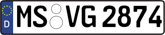 MS-VG2874